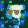David Rees's profile picture
