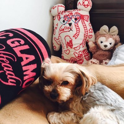 eipokopon's profile picture