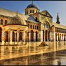 Фото профиля ziad alsabouni