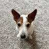 Фото профиля Maggiebuns