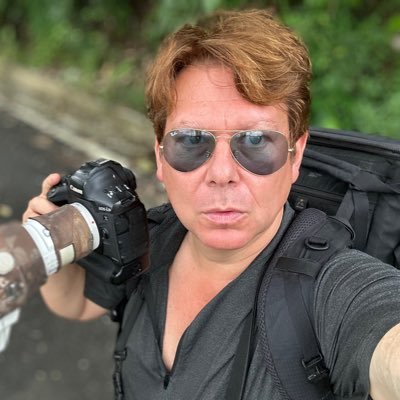Bird-Photo-Tours ASIA's profile picture