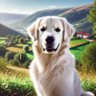 manskem's profile picture