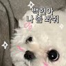 뉴유유 的头像