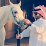 Majed _ Alotibi's profile picture