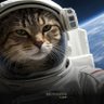 astrogatove 的头像