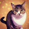 Profilbild von Sasa9''