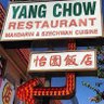 Yang Chow's profile picture