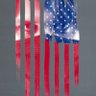 Americanist 的头像