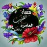 سلطان القدسي's profile picture