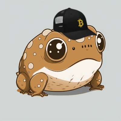 0xRayJ's profile picture