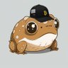 Profilbild von Ray J