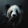 Profilbild von PandaCigar