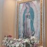 Paloma de la paz 的头像
