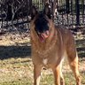 norcal malgal profil fotoğrafı