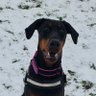 coby's profile picture