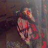 SykeVT's profile picture