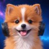 Kajimaru's profile picture