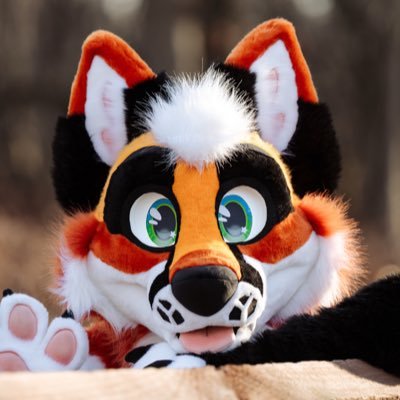Fox Pupy 🦊🧡's profile picture