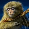 Harpmonkey 的头像