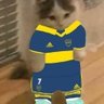 Ciro's profile picture