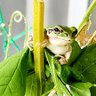 フランスうどん profil fotoğrafı