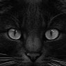 luis Eduardk's profile picture