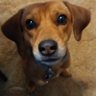 JerryWalter's profile picture