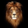 DRAGONGLASS profil fotoğrafı