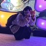 のんちゃん's profile picture