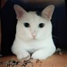 Profilbild von ลูกรักสิ่งศักดิ์สิทธิ์✨️