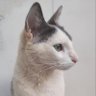 alime profil fotoğrafı