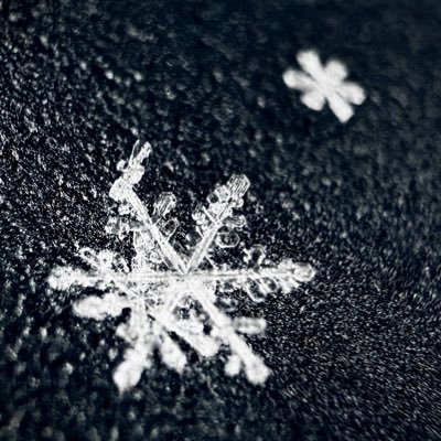 OsitaLV's profile picture