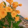 nor alamal 🇸🇦 profil fotoğrafı