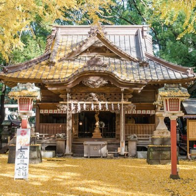 〜田無神社〜西東京市鎮座【公式】's profile picture