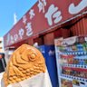 三河のどあら's profile picture