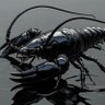 Black Crayfish profil fotoğrafı