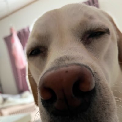 paadorii's profile picture