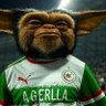 TRIBUNAL-DU_5🇩🇿🏟 profil fotoğrafı
