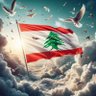 Amin's profile picture