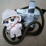 みちる profil fotoğrafı