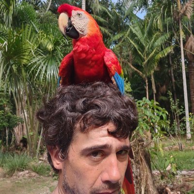 OtorongoLodge's profile picture