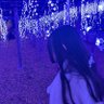 みくる's profile picture