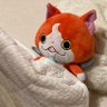 わたたムシャ 的头像