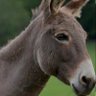 kinto is back's profile picture