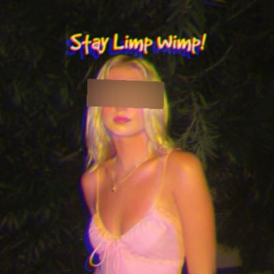 StayLimpWimp's profile picture