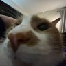 rowan's profile picture