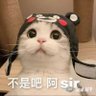 啃韭菜 的头像