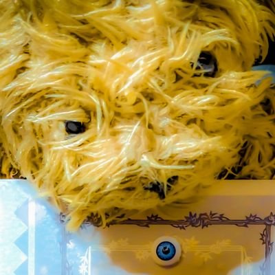 kumakakiya's profile picture
