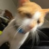 Profilbild von Donivan