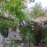 Фото профиля ملك عمر البابا